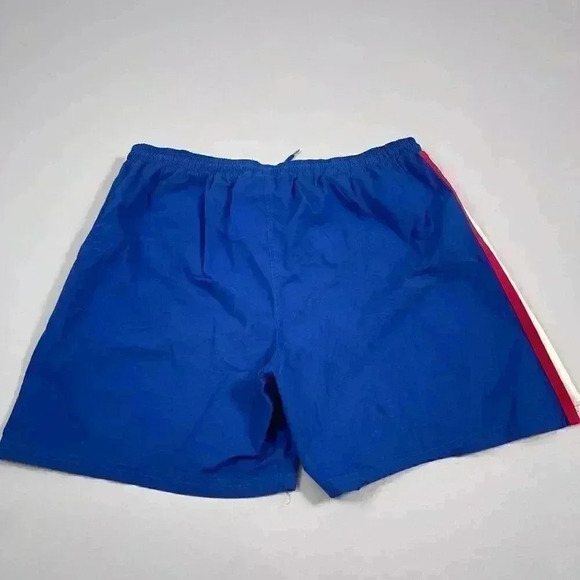 VTG Wilson Shorts Large Men Blue Swim Mesh Pull On Drawstring Short Stripe - Picture 2 of 9